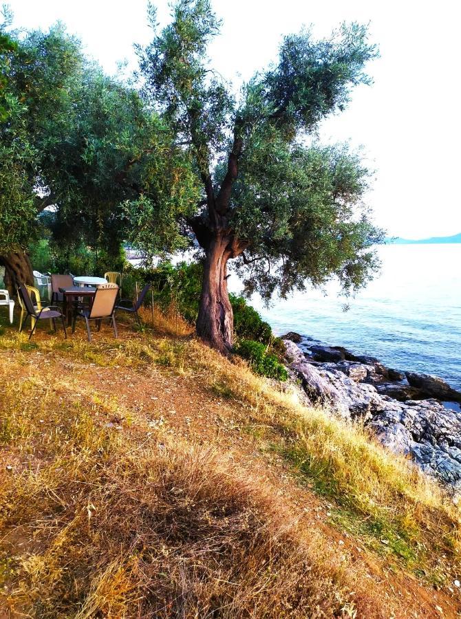 Villa Leonidas GreeceFiloxenia Lefokastro Exterior foto